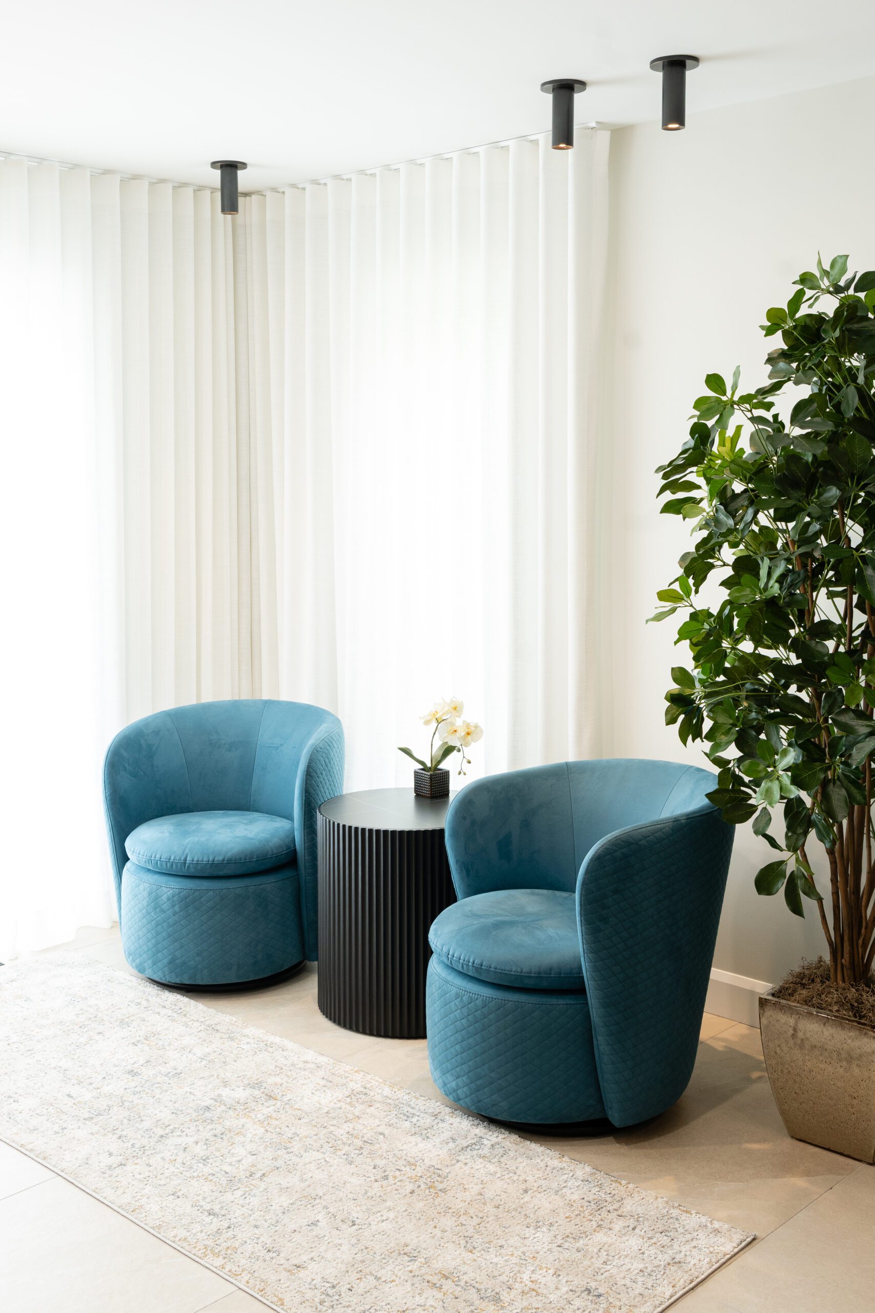 deux fauteuils une place turquoise modernes avec table noire circulaire au centre et plante verte