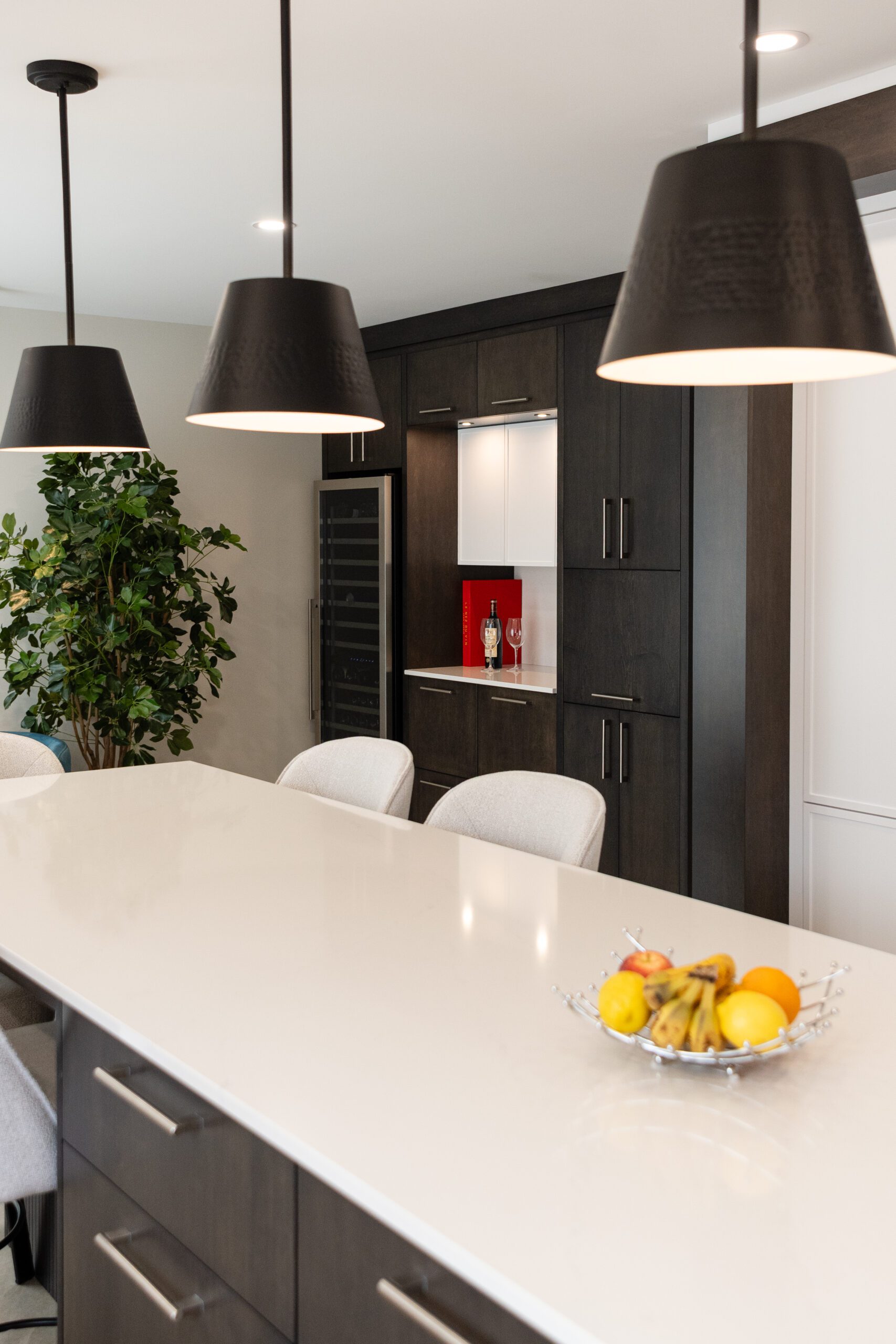 ilot de cuiisne blanc avec armoires noires modernes et plante verte